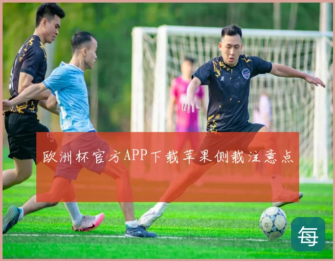 欧洲杯官方APP下载苹果侧载注意点