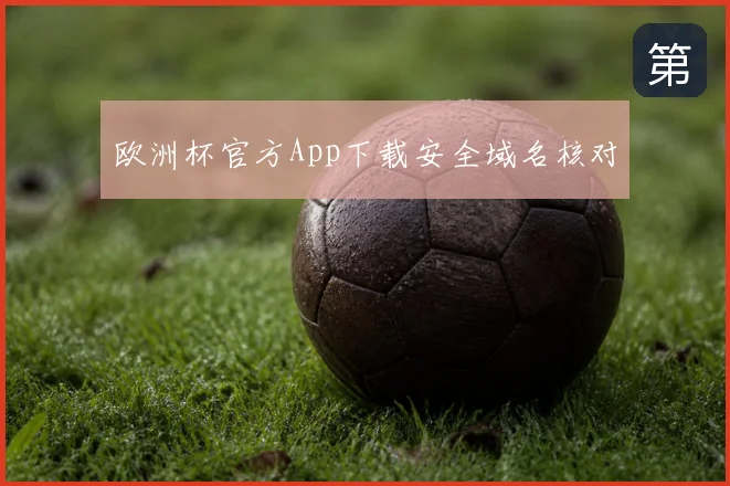 欧洲杯官方App下载安全域名核对